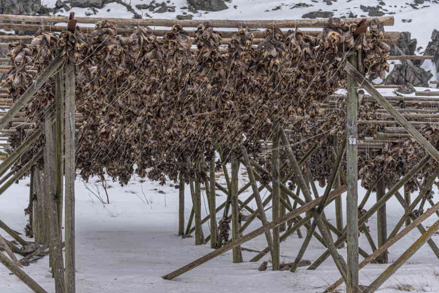 Noruega - islas Lofoten 218 - secadero de pescado.jpg